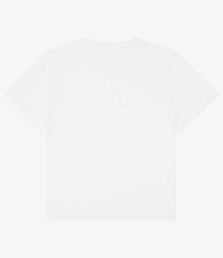BL6110 White Back