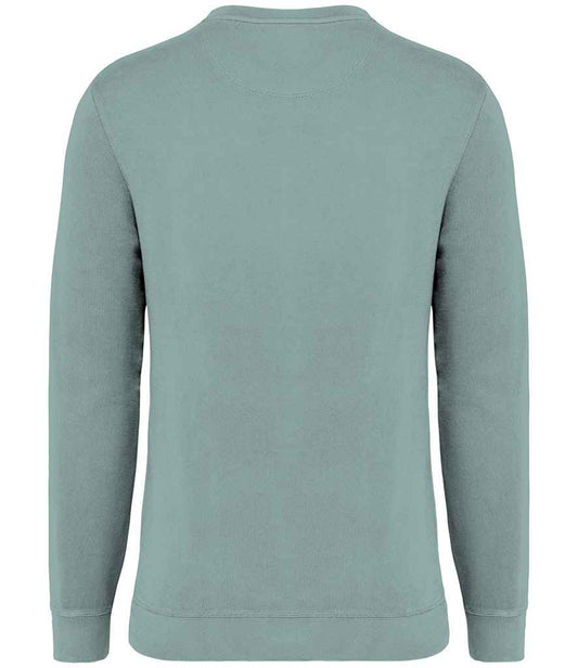 NS414 Washed Jade Green Back