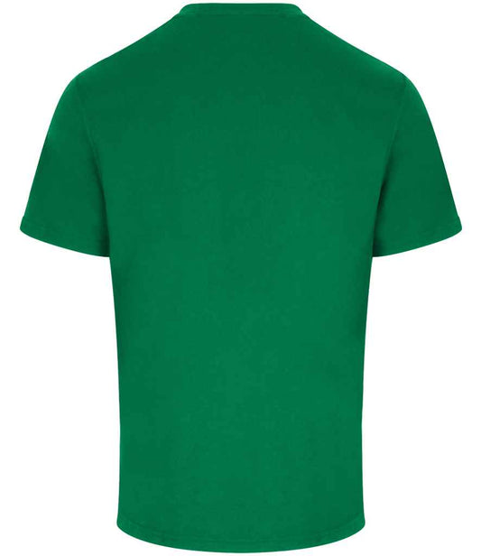 RX151 Kelly Green Back