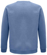 SOL'S Unisex Space Organic Raglan Sweatshirt | Blue thumbnail 2