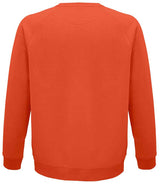 SOL'S Unisex Space Organic Raglan Sweatshirt | Burnt Orange thumbnail 2