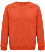 SOL'S Unisex Space Organic Raglan Sweatshirt | Burnt Orange thumbnail 1