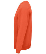 SOL'S Unisex Space Organic Raglan Sweatshirt | Burnt Orange thumbnail 3