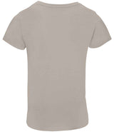 SOL'S Ladies Pioneer Organic T-Shirt | Rope thumbnail 2
