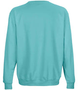 SOL'S Unisex Columbia Sweatshirt | Pool Blue thumbnail 4
