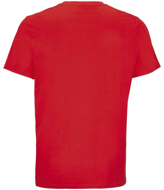 03981 Bright Red Back