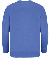 SOL'S Kids Columbia Sweatshirt | Royal Blue thumbnail 2
