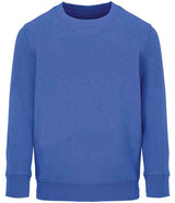 SOL'S Kids Columbia Sweatshirt | Royal Blue thumbnail 1