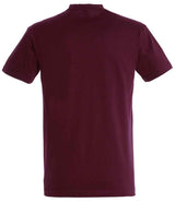 SOL'S Imperial Heavy T-Shirt | Burgundy thumbnail 2