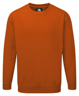 Kite Sweatshirt thumbnail 9