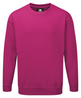 Kite Sweatshirt thumbnail 10