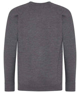 AWDis Academy Kids Raglan Sweatshirt | Charcoal thumbnail 2