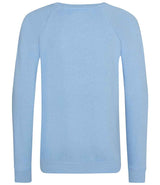 AWDis Academy Kids Raglan Sweatshirt | Sky Blue thumbnail 2