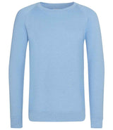 AWDis Academy Kids Raglan Sweatshirt | Sky Blue thumbnail 1
