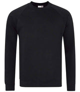 AWDis Academy Senior Raglan Sweatshirt | Black thumbnail 1