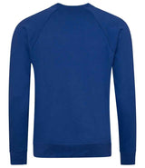 AWDis Academy Senior Raglan Sweatshirt | Deep Royal thumbnail 2