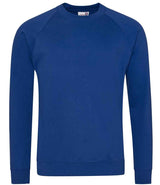 AWDis Academy Senior Raglan Sweatshirt | Deep Royal thumbnail 1