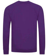 AWDis Academy Senior Raglan Sweatshirt | Purple thumbnail 2