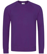 AWDis Academy Senior Raglan Sweatshirt | Purple thumbnail 1