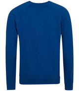 AWDis Academy Senior Raglan Sweatshirt | Royal Blue thumbnail 2