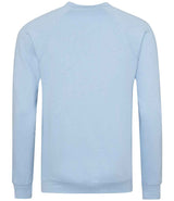 AWDis Academy Senior Raglan Sweatshirt | Sky Blue thumbnail 2