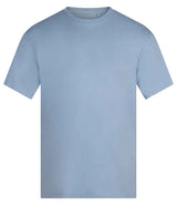 Anthem Unisex Organic Midweight T-Shirt | Light Blue thumbnail 3
