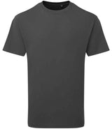 Anthem Unisex Organic Heavyweight T-Shirt | Carbon thumbnail 1