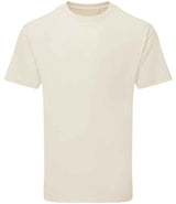 Anthem Unisex Organic Heavyweight T-Shirt | Eco Raw thumbnail 1