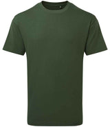 Anthem Unisex Organic Heavyweight T-Shirt | Forest Green thumbnail 1