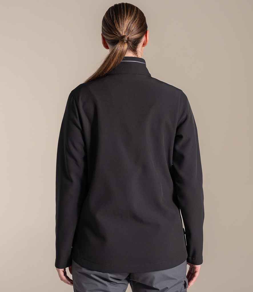 CR339 Black Model