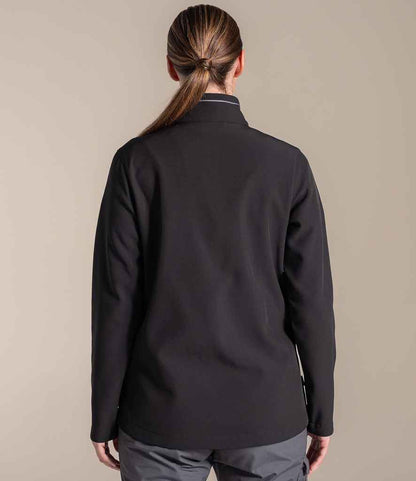 CR339 Black Model