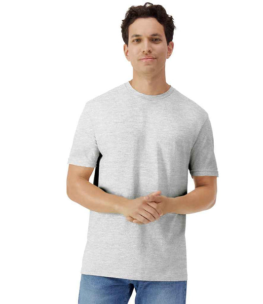 GD03 Ash Model
