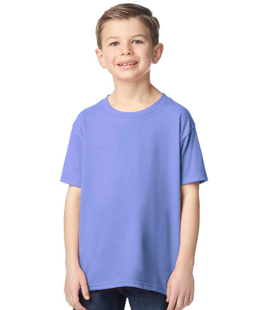 GD05B Violet Model