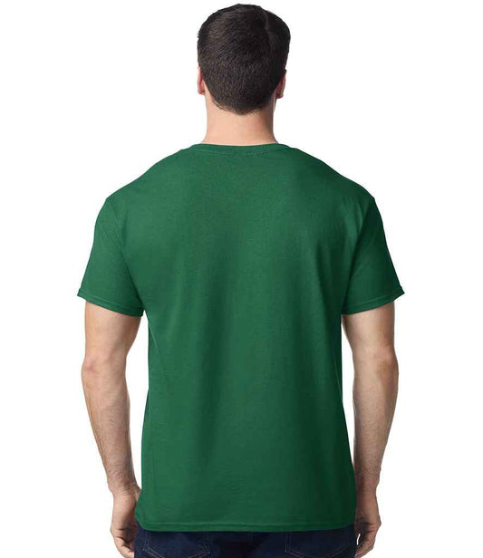 GD05 Fan Dark Green Model