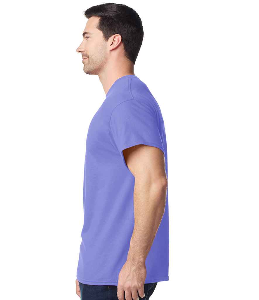 GD05 Violet Model