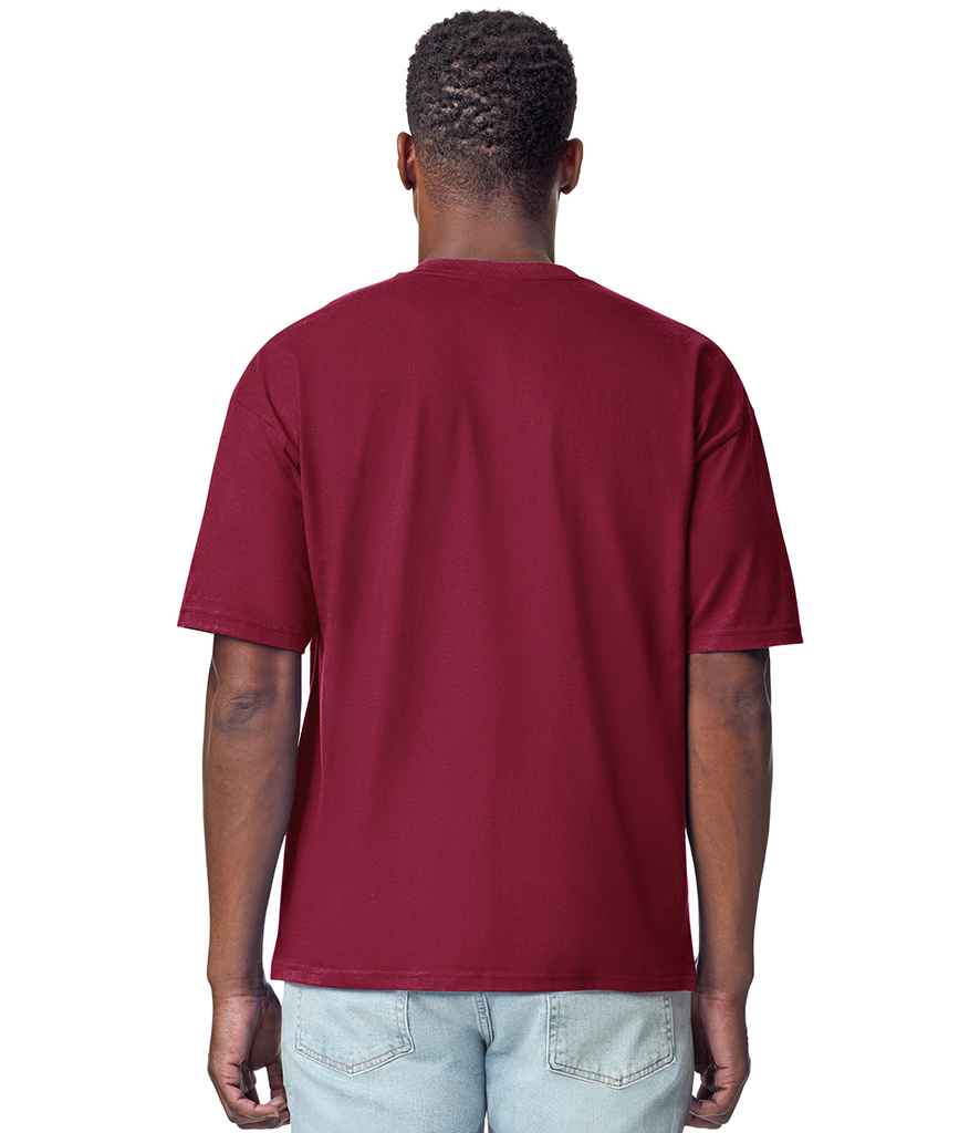 GD201 Garnet Model