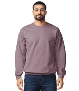 Gildan SoftStyle® Midweight Crew Neck Sweatshirt | Paragon thumbnail 1