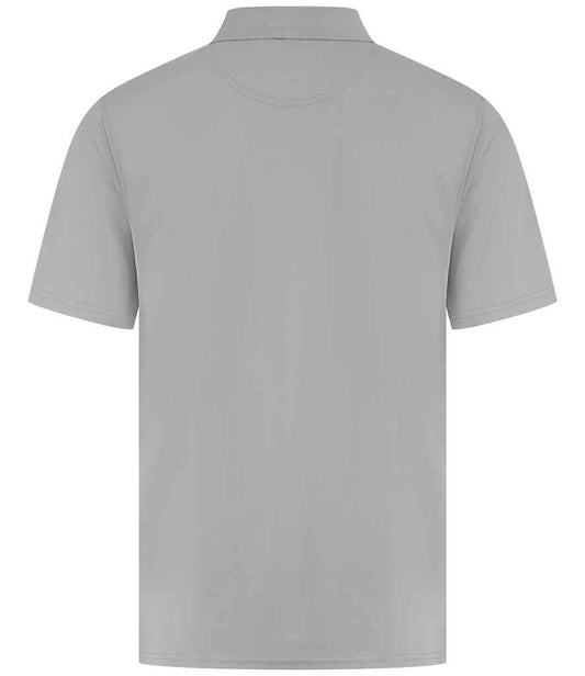 H475 Silver Back
