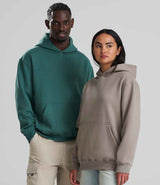AWDis Vision Heavyweight Hoodie | Natural Clay thumbnail 1