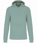 Kariban Hooded Sweatshirt | Sage thumbnail 1