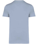 Native Spirit Unisex Heavyweight T-Shirt | Aquamarine thumbnail 2