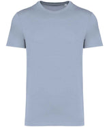 Native Spirit Unisex Heavyweight T-Shirt | Aquamarine thumbnail 1