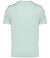 Native Spirit Unisex Heavyweight T-Shirt | Brook Green thumbnail 2