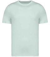 Native Spirit Unisex Heavyweight T-Shirt | Brook Green thumbnail 1