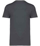 Native Spirit Unisex Heavyweight T-Shirt | Iron Grey thumbnail 2