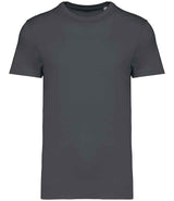 Native Spirit Unisex Heavyweight T-Shirt | Iron Grey thumbnail 1