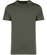 Native Spirit Unisex Heavyweight T-Shirt | Organic Khaki thumbnail 1