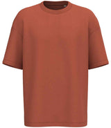 Native Spirit Unisex French Terry T-Shirt | Burnt Brick thumbnail 1