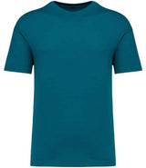 Native Spirit Unisex Oversized T-Shirt | Peacock Green thumbnail 1