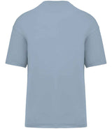 Native Spirit Oversized T-Shirt | Aquamarine thumbnail 2